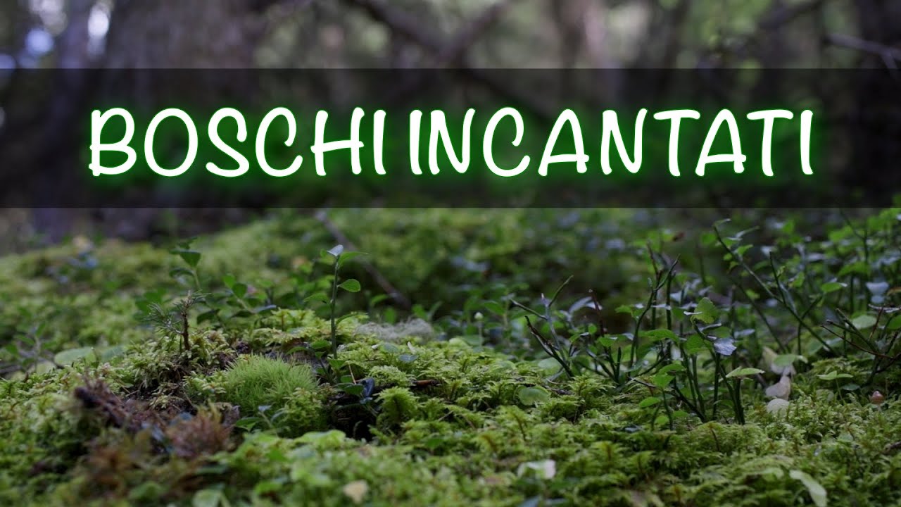 Lago di Barco da Vermiglio: una meta sconosciuta in un'atmosfera magica.