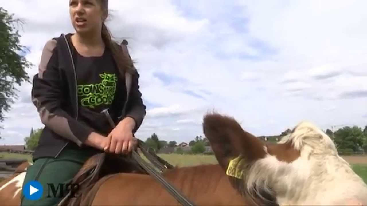 Aufgesattelt, auf die Kuh und los