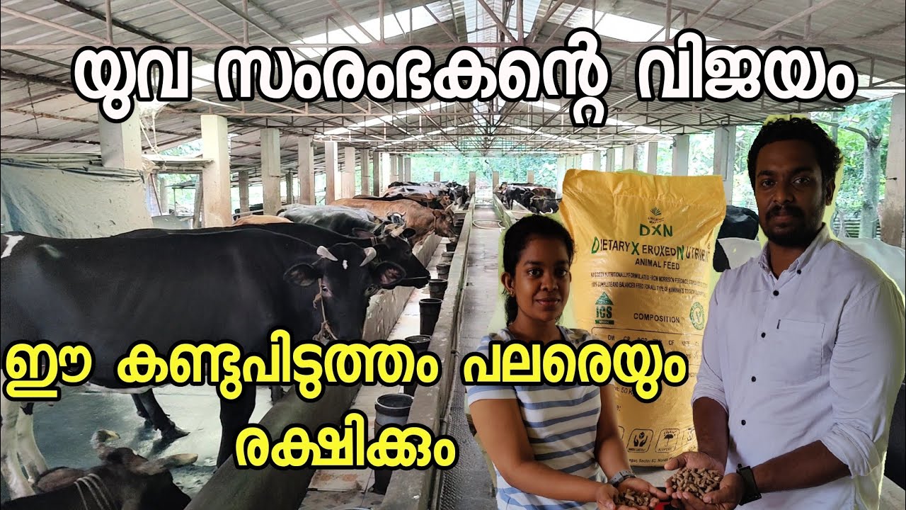 സന്തോഷം ലഭിച്ചത് 100 കണക്കിന് കർഷകർക്ക് organic cattle feed malayalam
