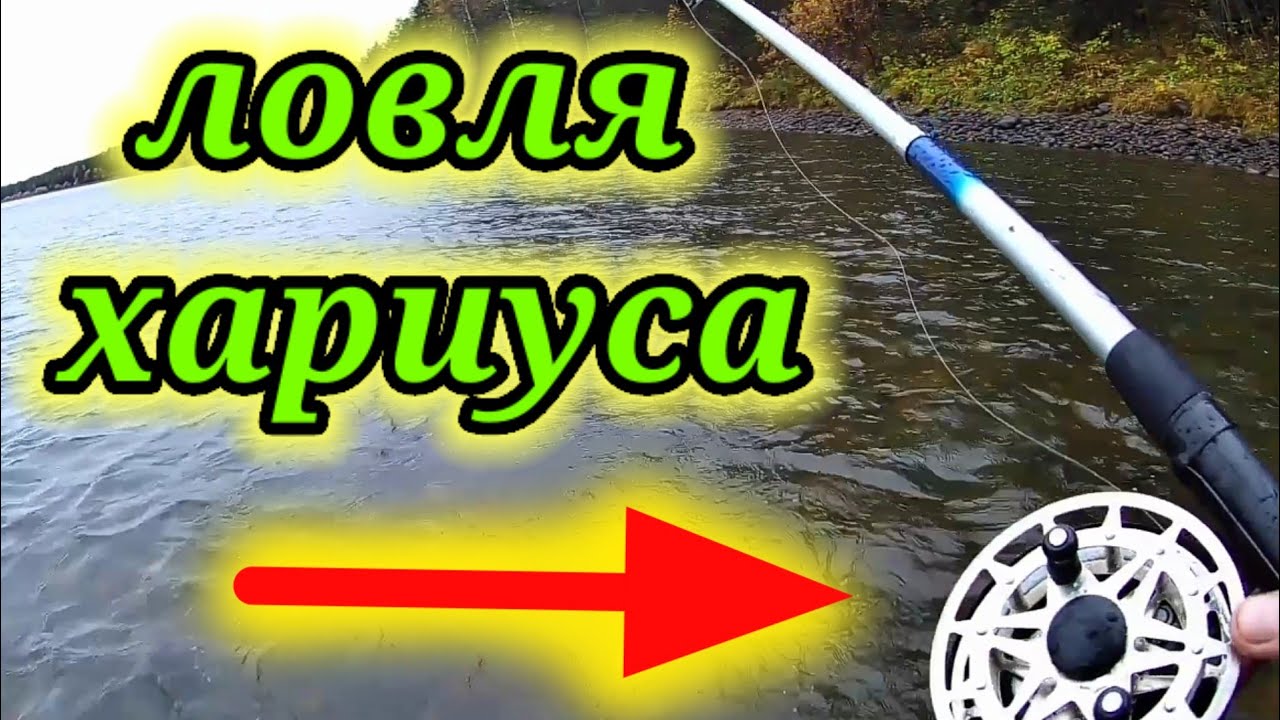 Ловля хариуса на МУТЬ 👆. Рыбалка на реке Бия.