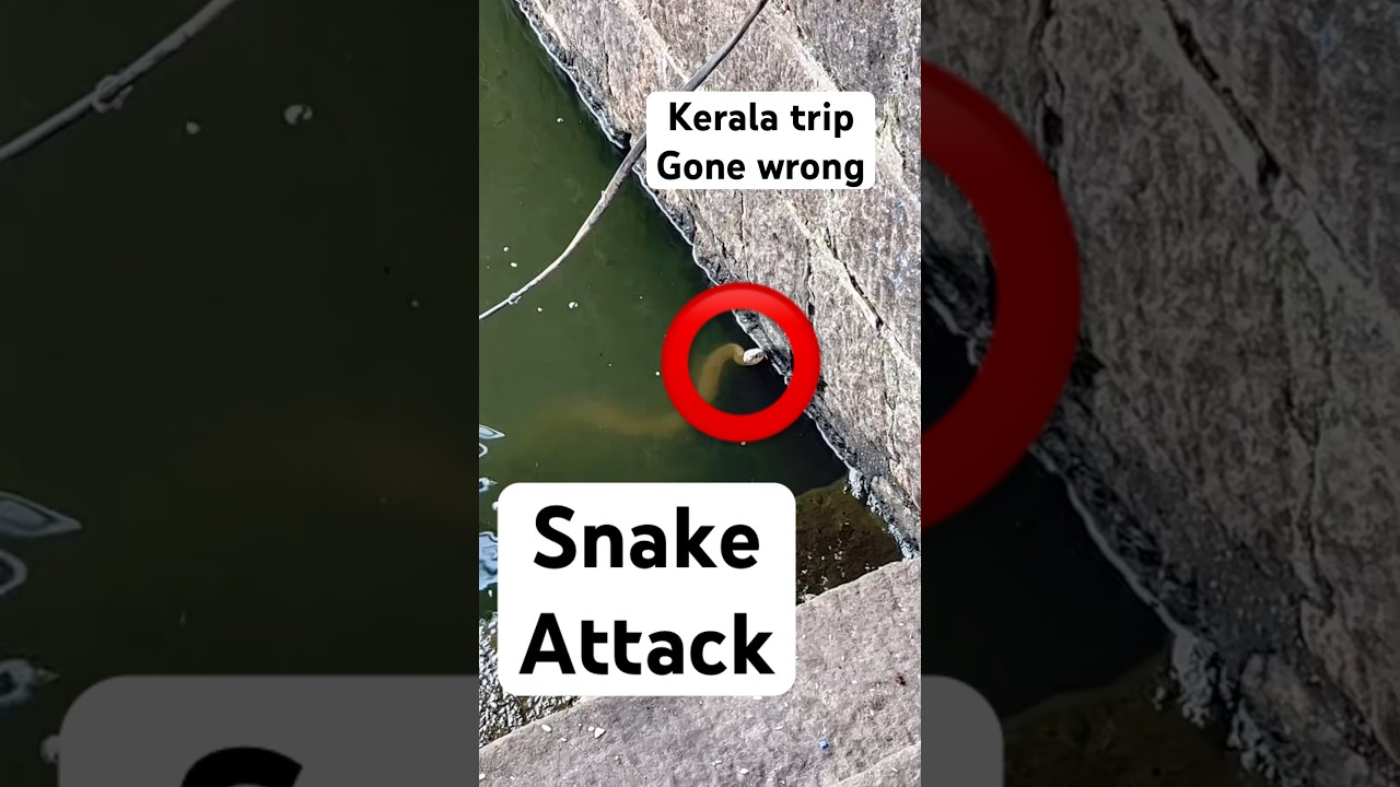 Kerala Trip Gone Wrong 😳🐍 | Snake Attack at Temple