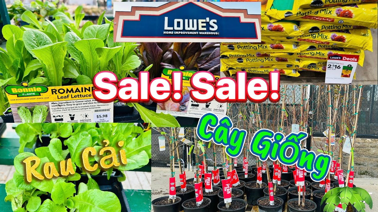 LOWE’S có nhiều cây giống và rau cải mới về, phân đất đang hạ giá rất rẻ . Garland TX