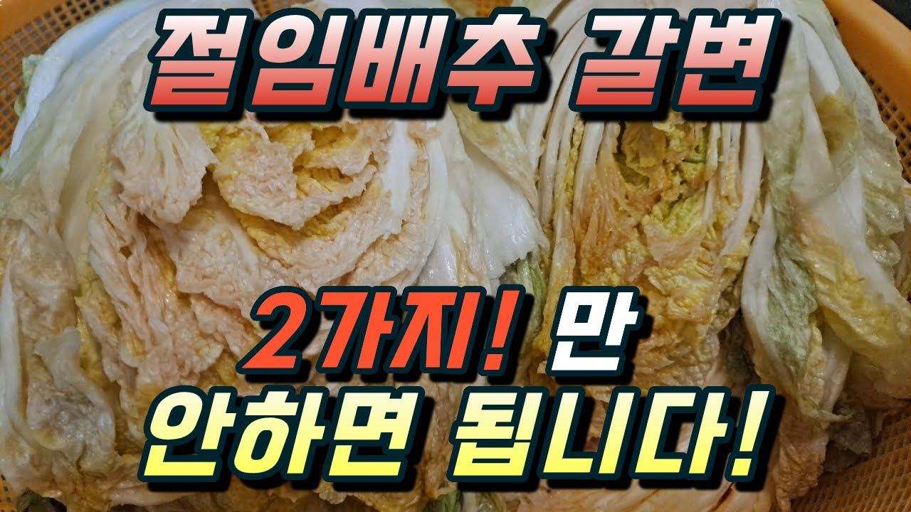 절임배추 받았을 때 꼭 알아야할 2가지!