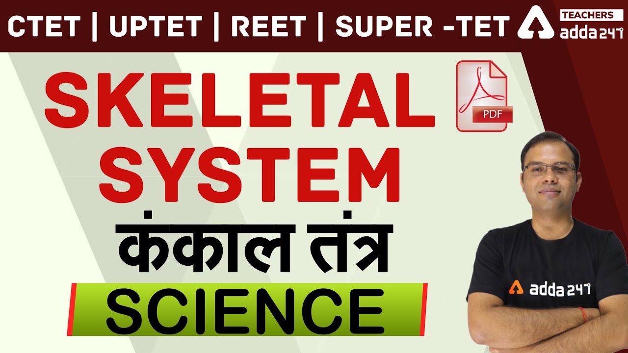 CTET/REET/UPTET/SUPER-TET | Science | Skeletal System