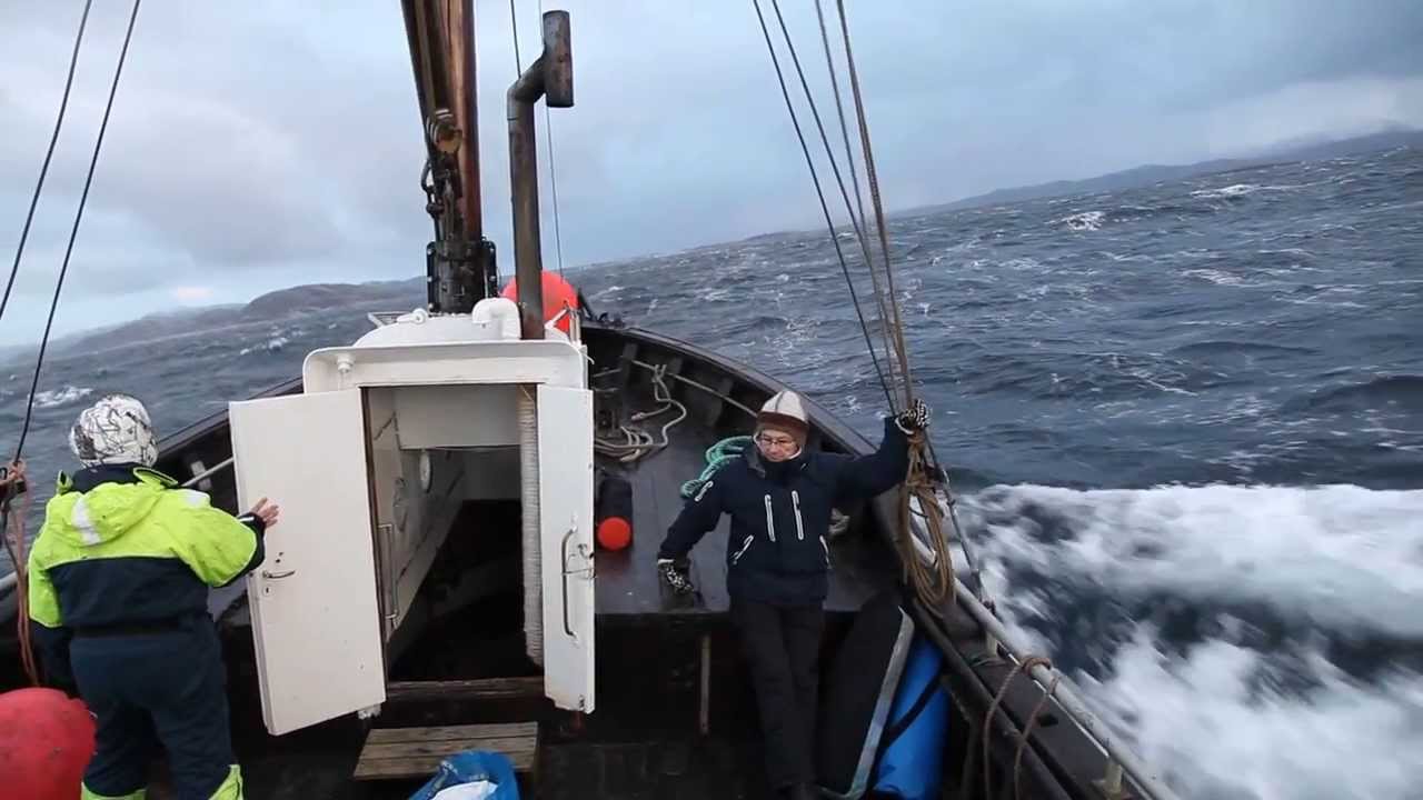 Storøy