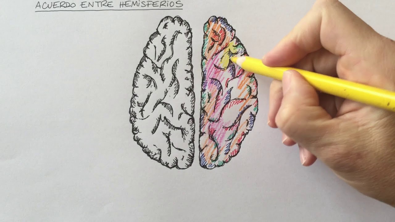 Cosas de Coaching - Acuerdo entre hemisferios