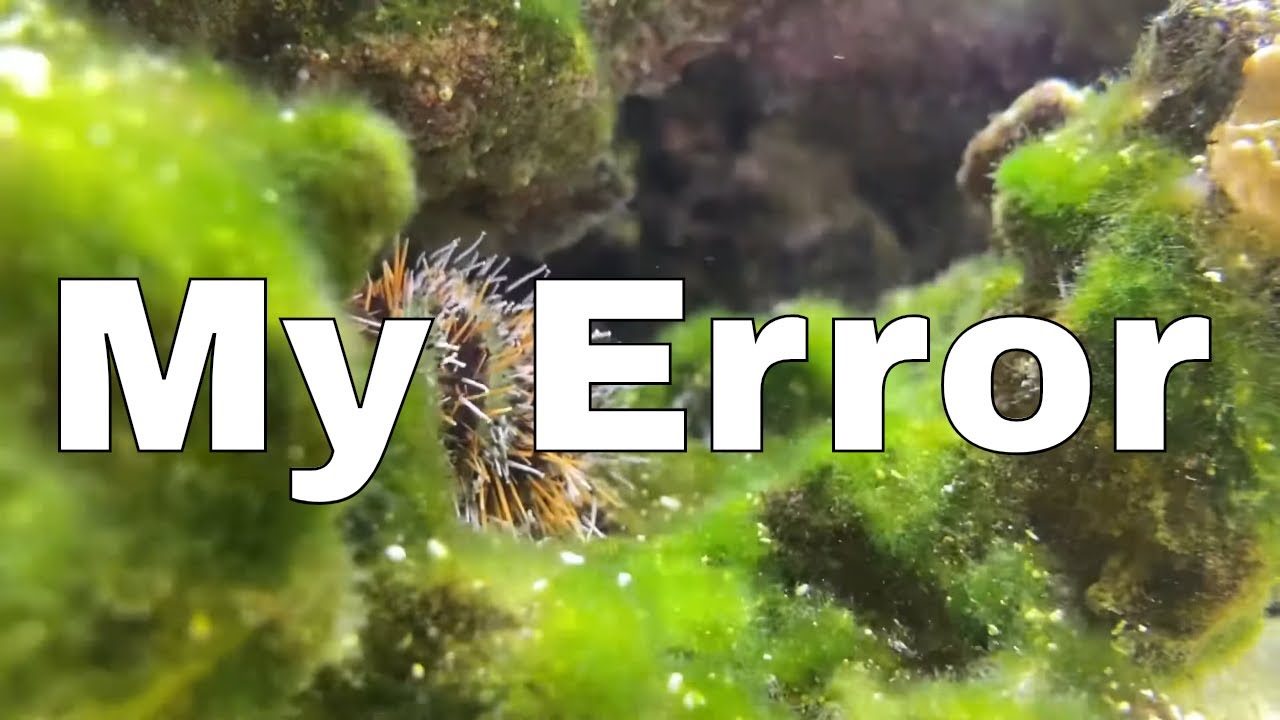 My Fundamental Saltwater Tank Error | Red Sea Reefer XL 425 Build