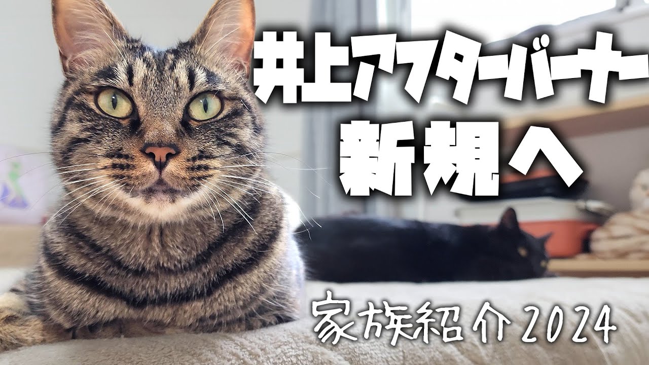 【27分ある】井上アフターバーナー新規へ【家族紹介2024】