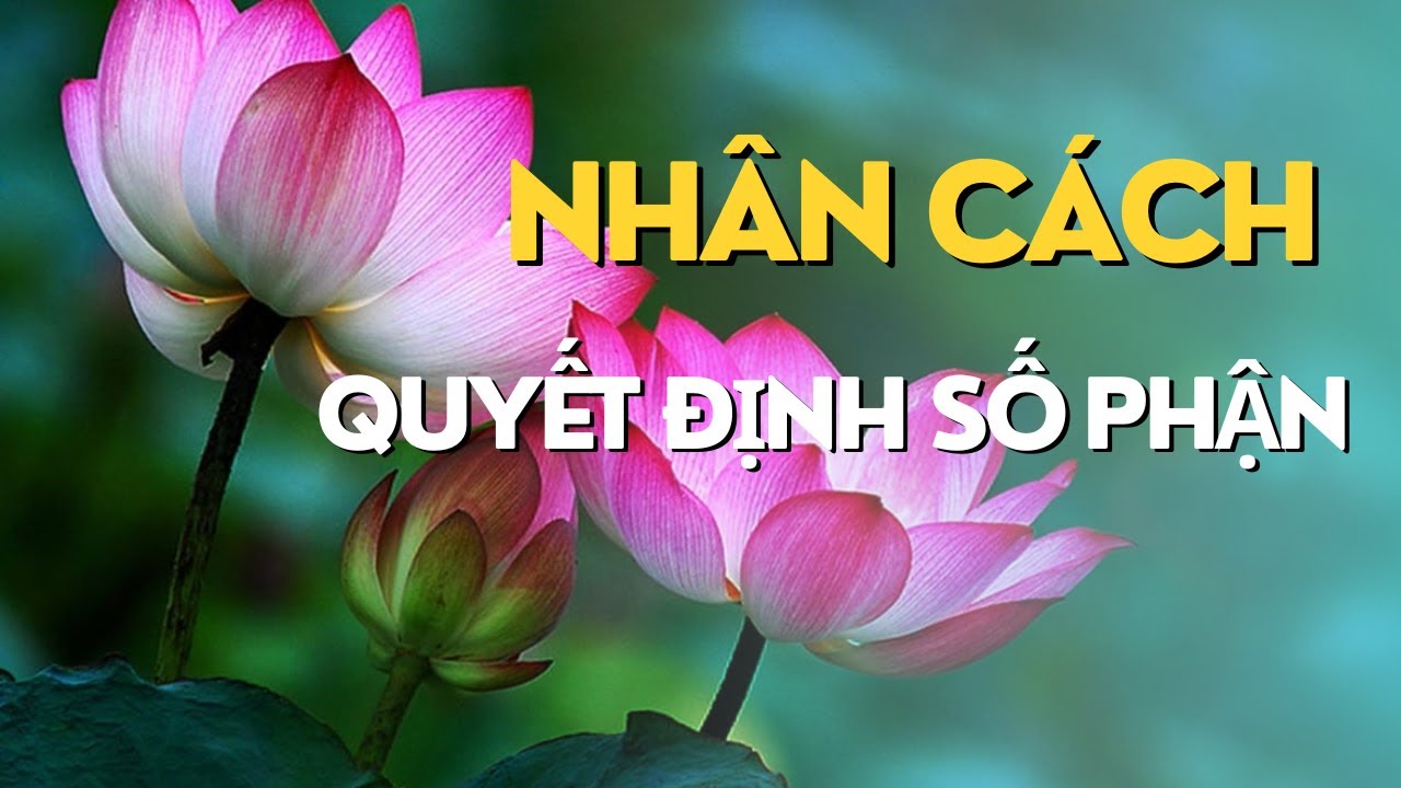 NHÂN CÁCH QUYẾT ĐỊNH SỐ PHẬN . SỰ THẬT CÓ ĐÚNG KHÔNG ?
