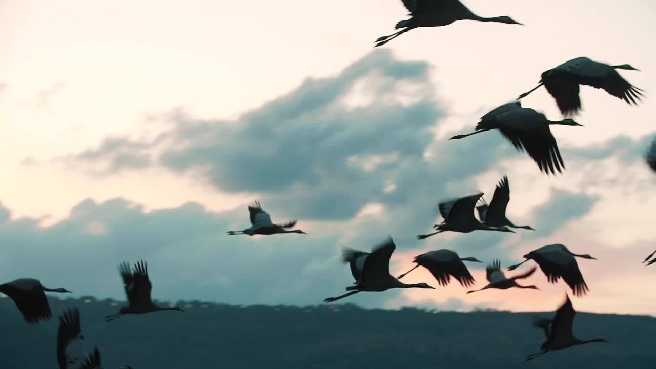 Northern Israel's Hula Valley
