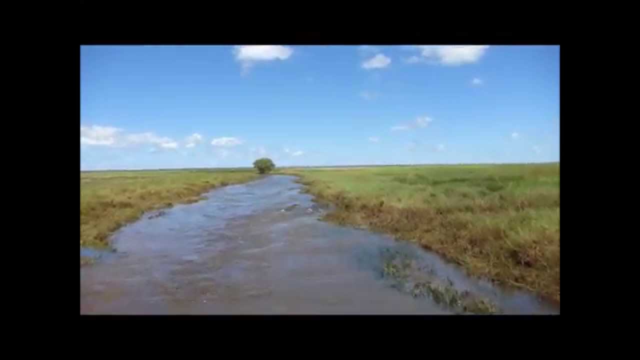 Crocodiles on the floodplains of Kakadu