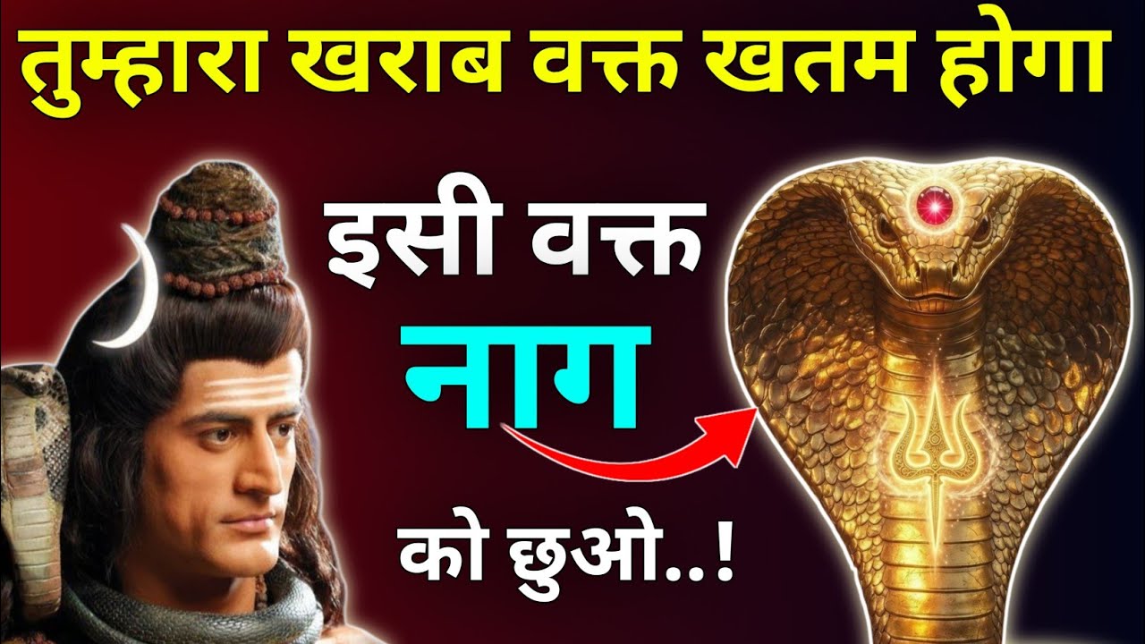 तुम्हारा खराब वक्त खतम होगा इसी वक्त नाग को छुओ |Mhadev Updesh |Mhadev Vichar |Mhadev Vani 