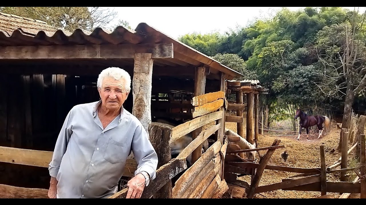 BERTOLINO 75 ANOS, O PRIVILEGIO DA LIDA NA ROÇA COM A FAMÍLIA, MUITOS ANIMAIS E FARTURA COM AMIGOS