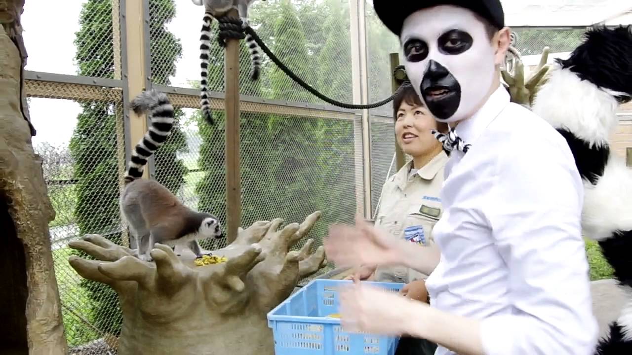 夏休みスペシャル！ワオキツネザル飼育体験記 in 東武動物公園