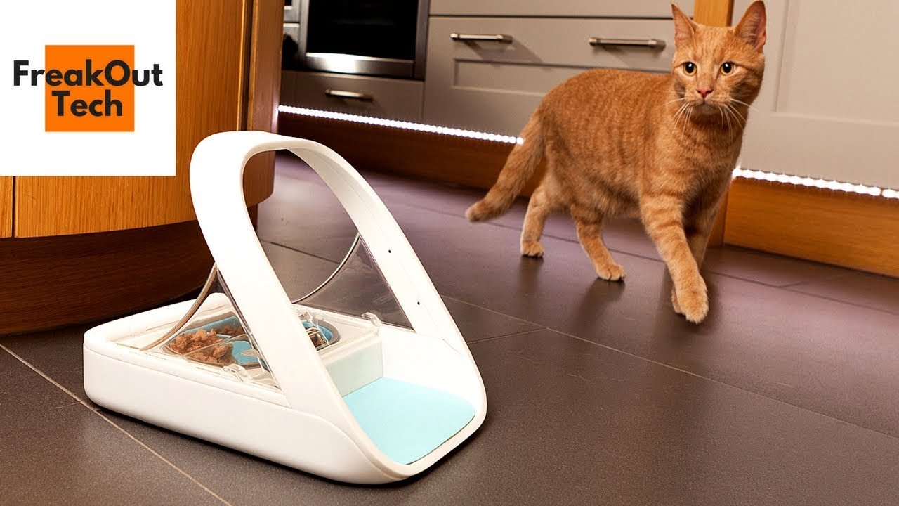 5 Incredible Inventions For Your Cat #2 ✔