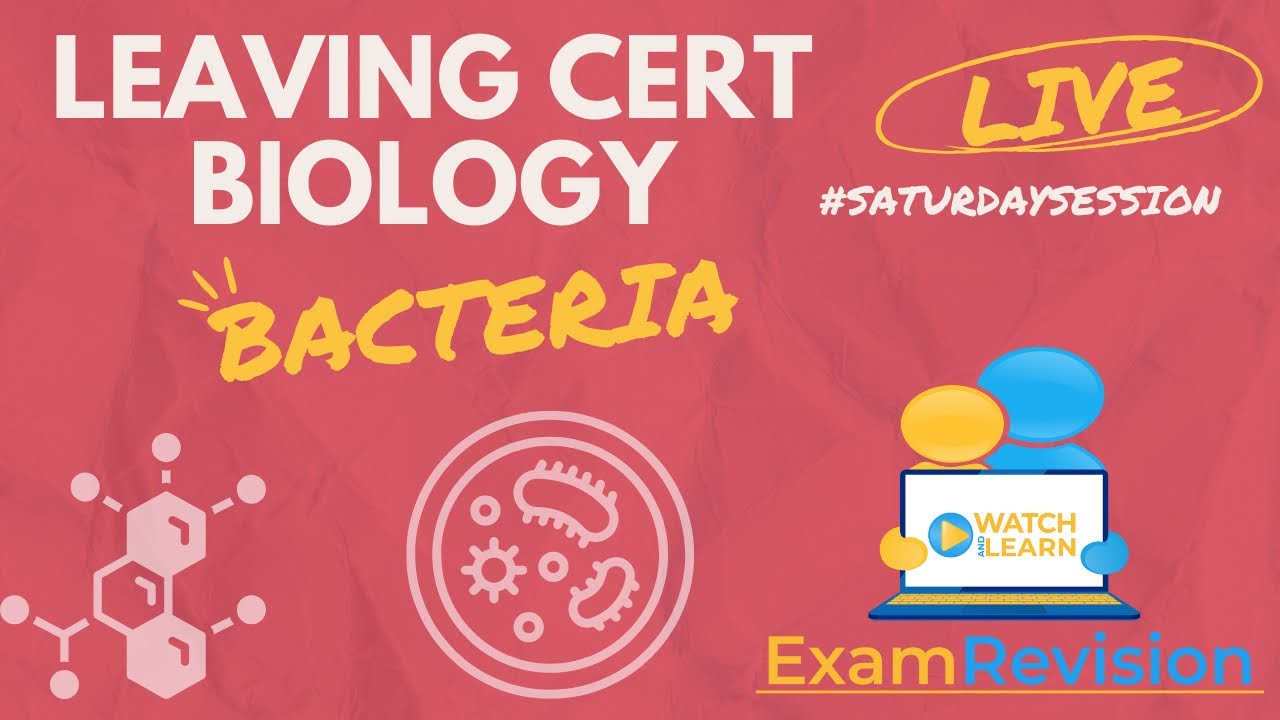 Leaving Cert Biology - Bacteria 🦠🧫