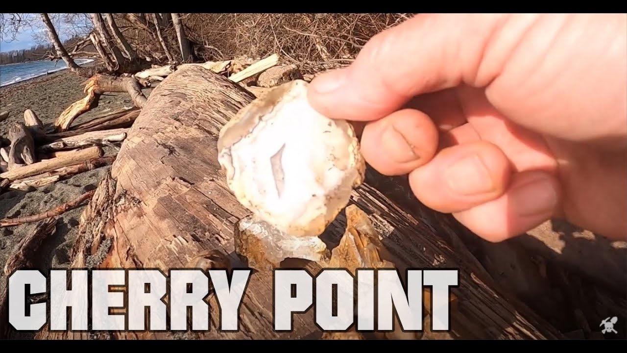 Beach Agate Hunt at Cherry Point Ferndale, Washington