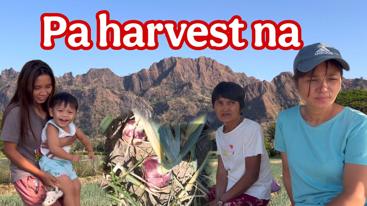 Magkanu na ang presyo na sibuyas | Buhay probinsya vlog
