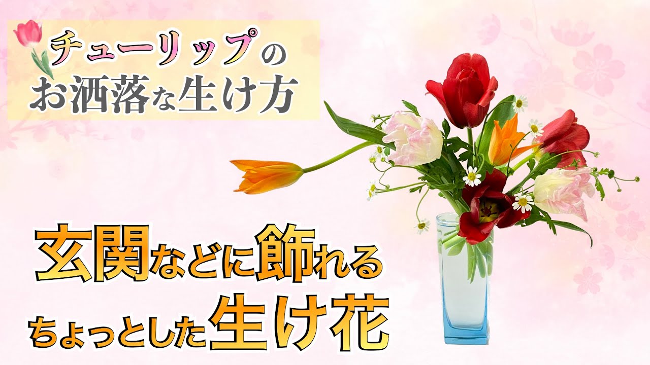 【春】チューリップをお洒落に飾る「たった１つ」のテクニック🌷【生け花】