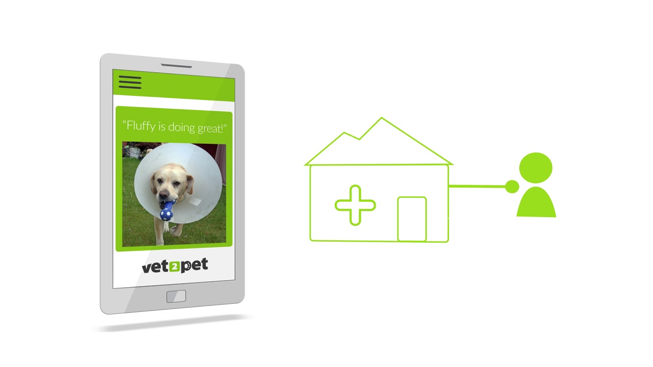 Vet2Pet Explainer