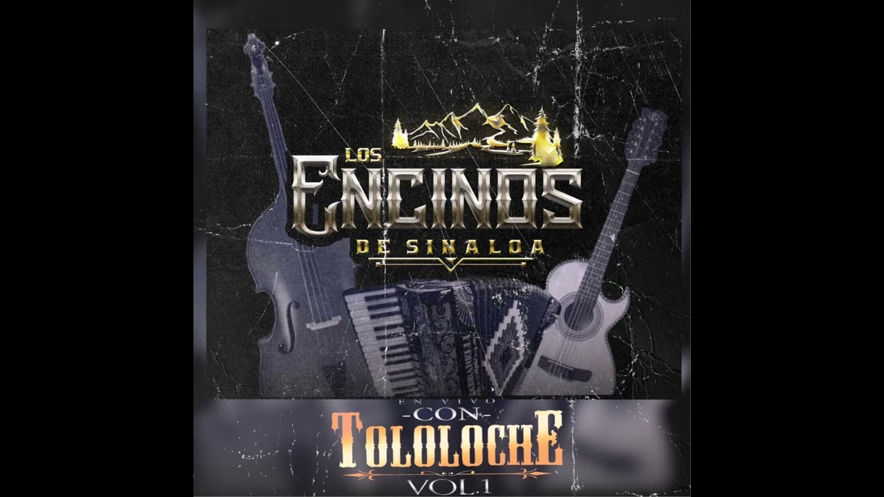 Los Encinos De Sinaloa Tololoche (En Vivo)