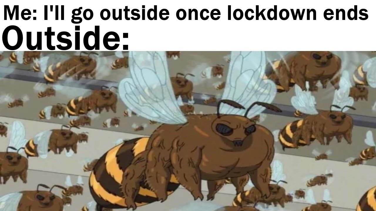 Daily Juicy Memes 331