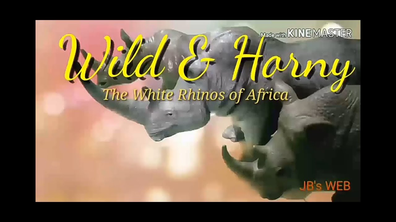 #Animaltoys:  The White Rhinos 🦏 of Africa 🌍
