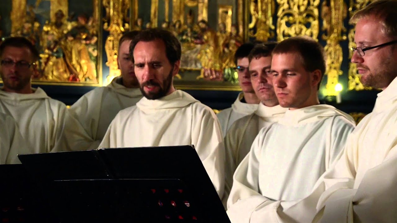 Salve Sancta Parens | St. Mary's Basilica, Cracow | Schola Cantorum Minorum Chosoviensis
