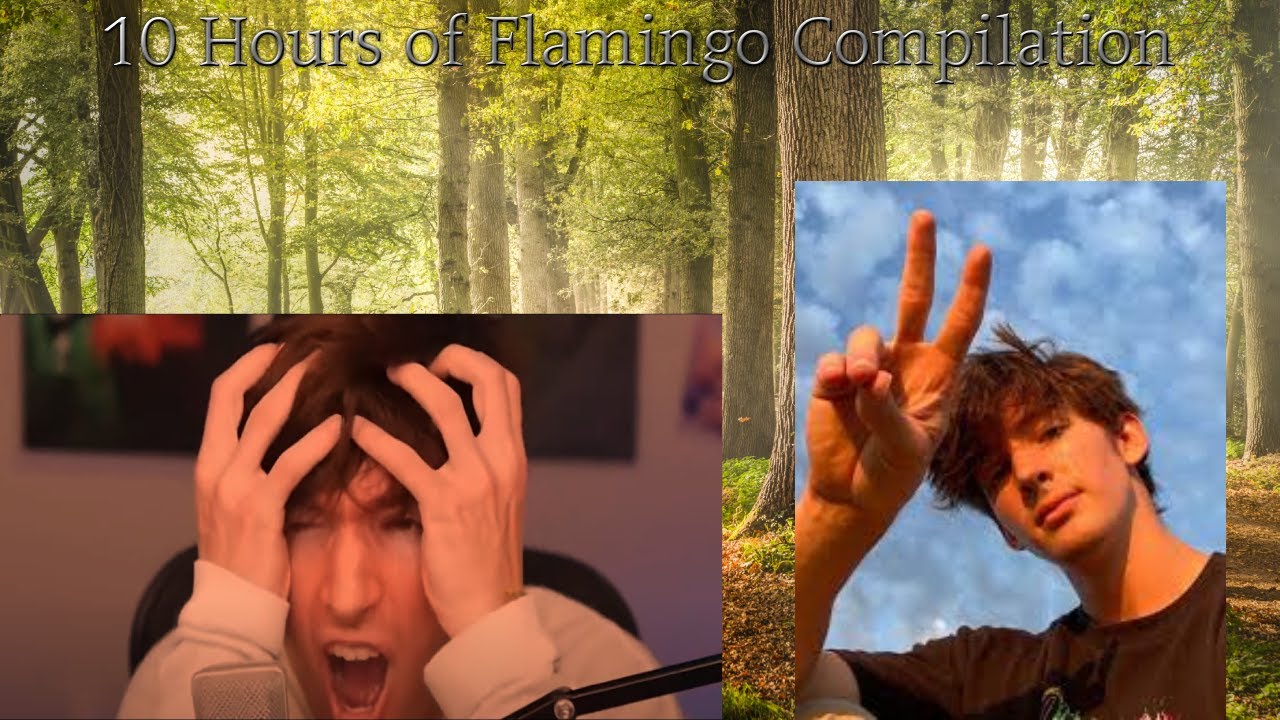 10 Hours of Flamingo Compilation