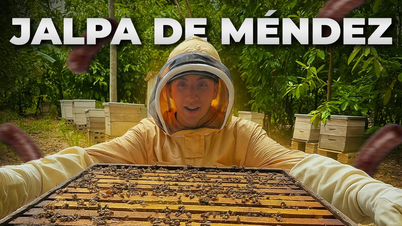 Así es la TIERRA de la BUTIFARRA | JALPA DE MÉNDEZ