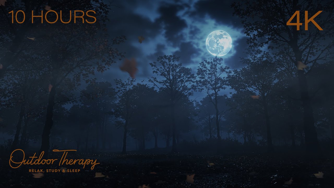 Moonlit Forest in Autumn | Fog & Blowing Leaves Ambience for Sleep, Study & Relaxation [4K] 10 Hours