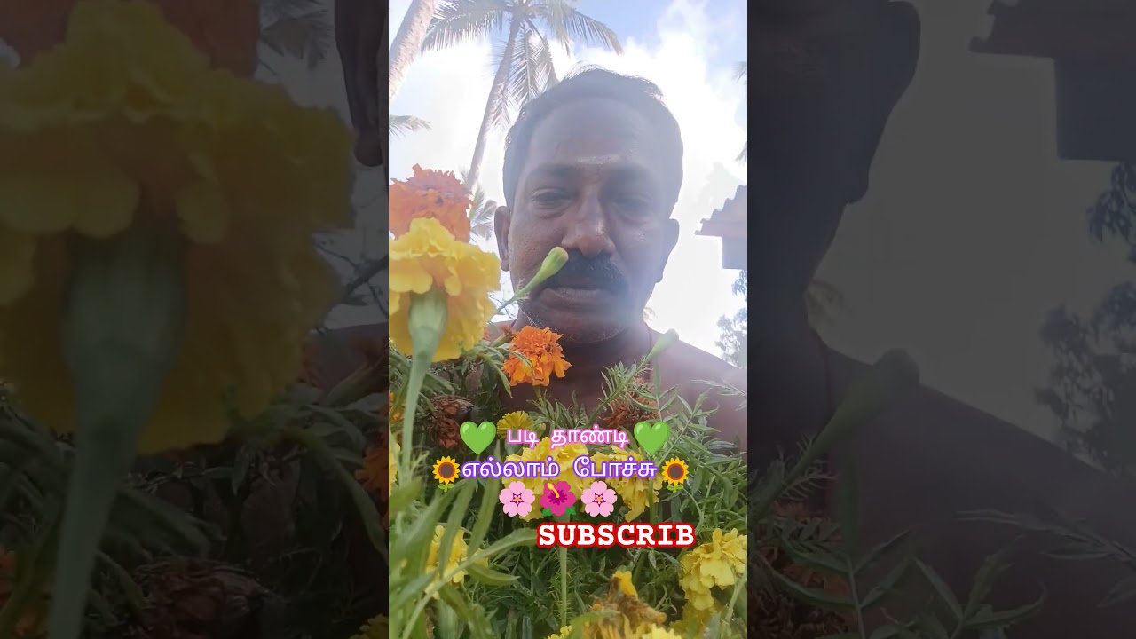 விதி மாறி படி தாண்டி போச்சுதே,..,