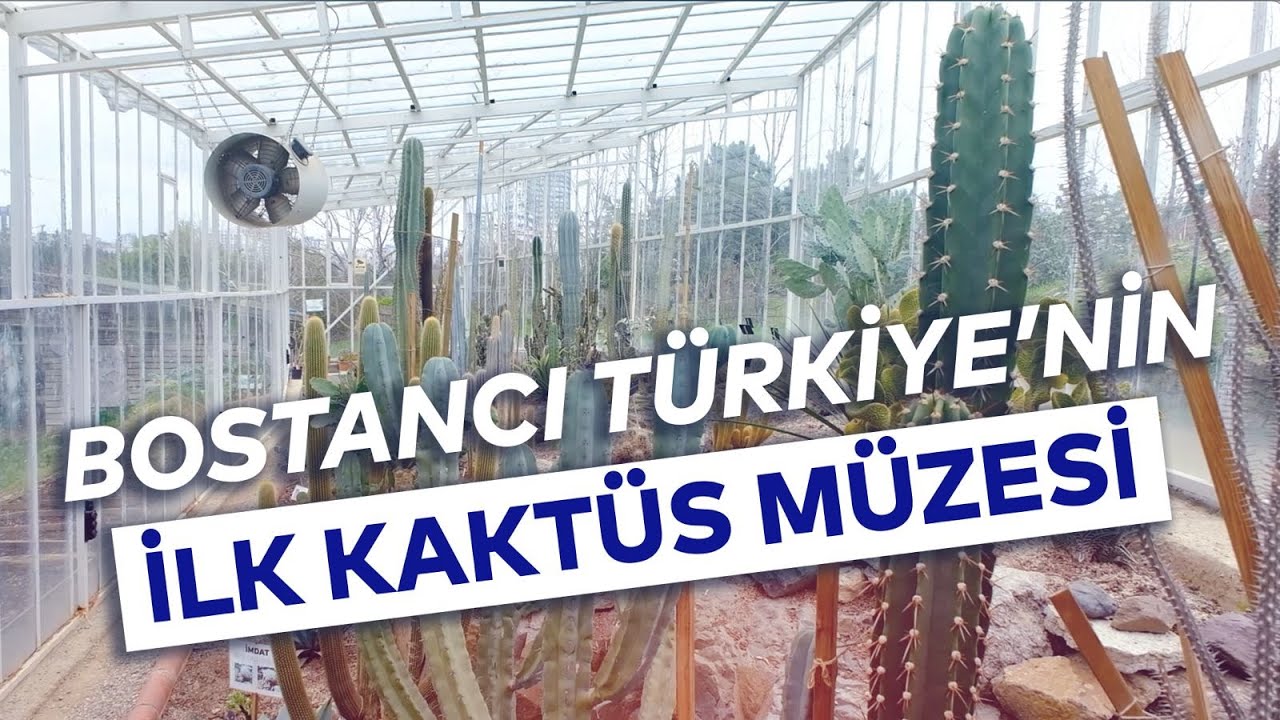 TÜRKİYE'NİN İLK KAKTÜS MÜZESİ