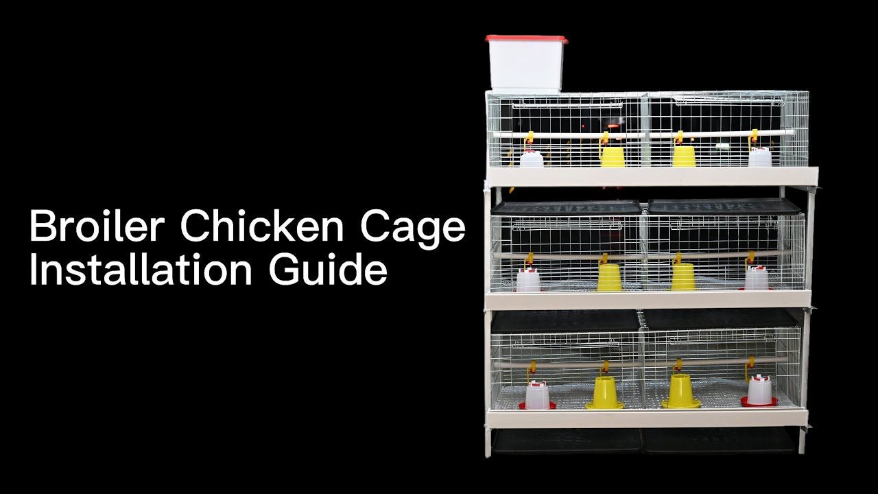 Broiler Chicken Cage Installation Guide