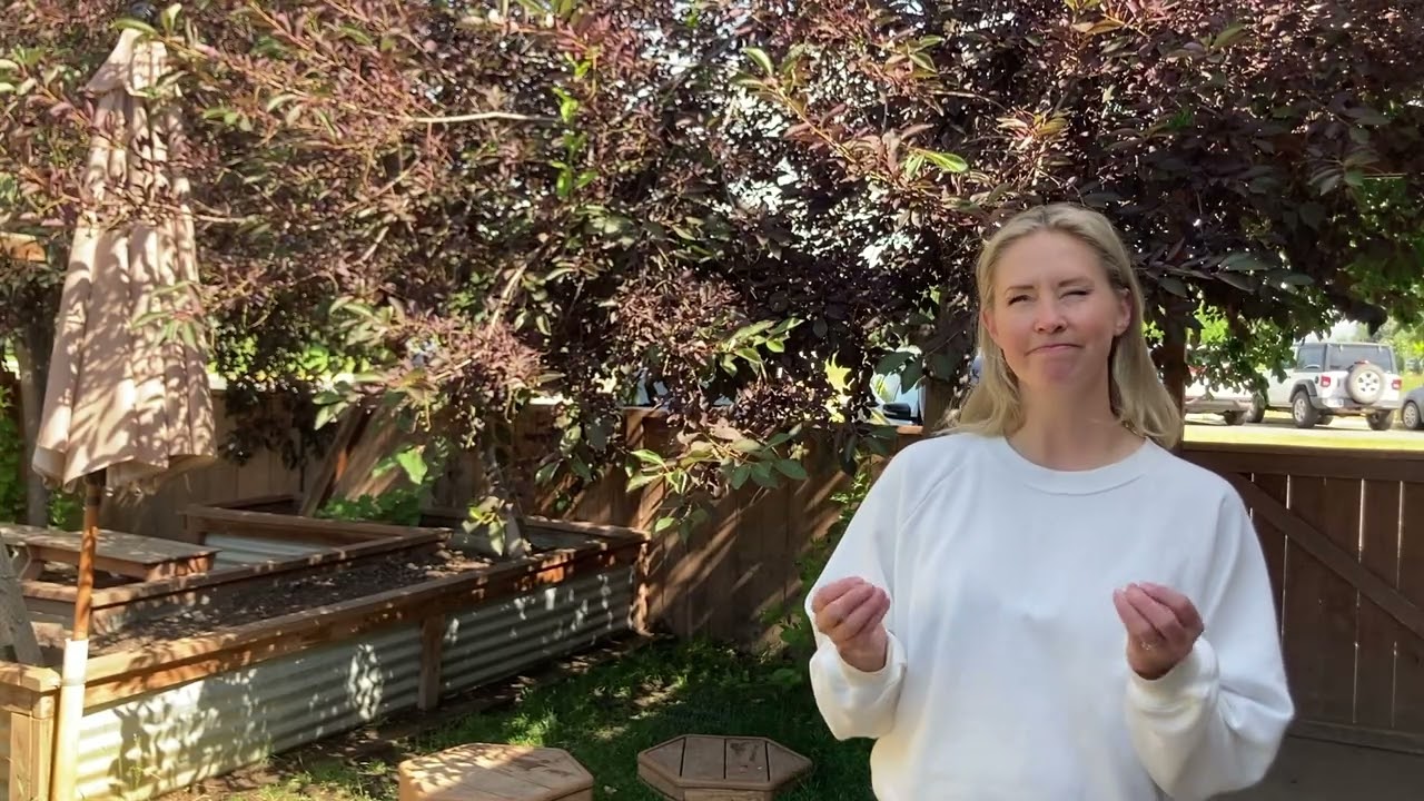 A Parent Speaks: high-fidelity Montessori & excellent communication