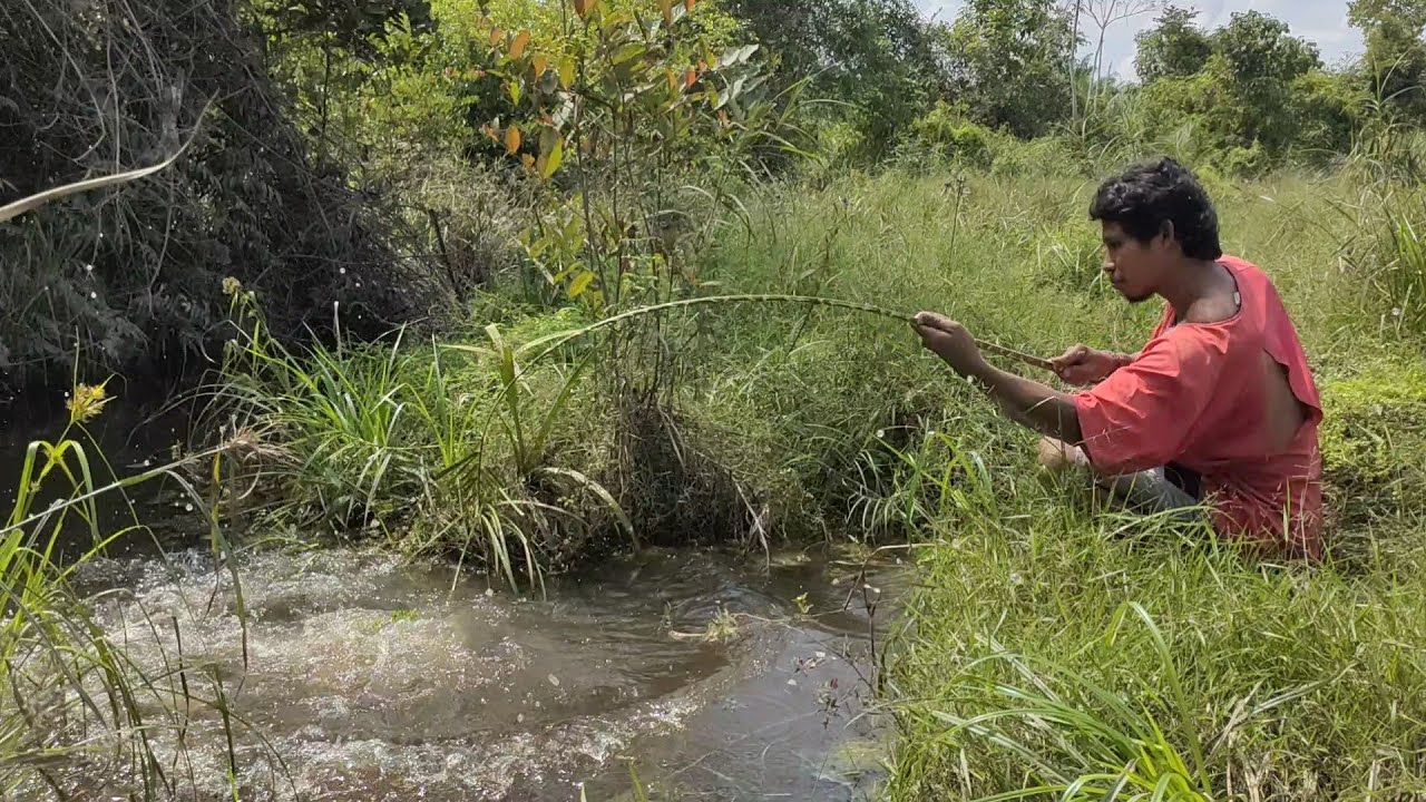 TEMPAT PALING ANEH!! SAMPAI 100 TAHUN  MUNGKIN TIDAK AKAN HABIS IKAN DI SPOT INI..