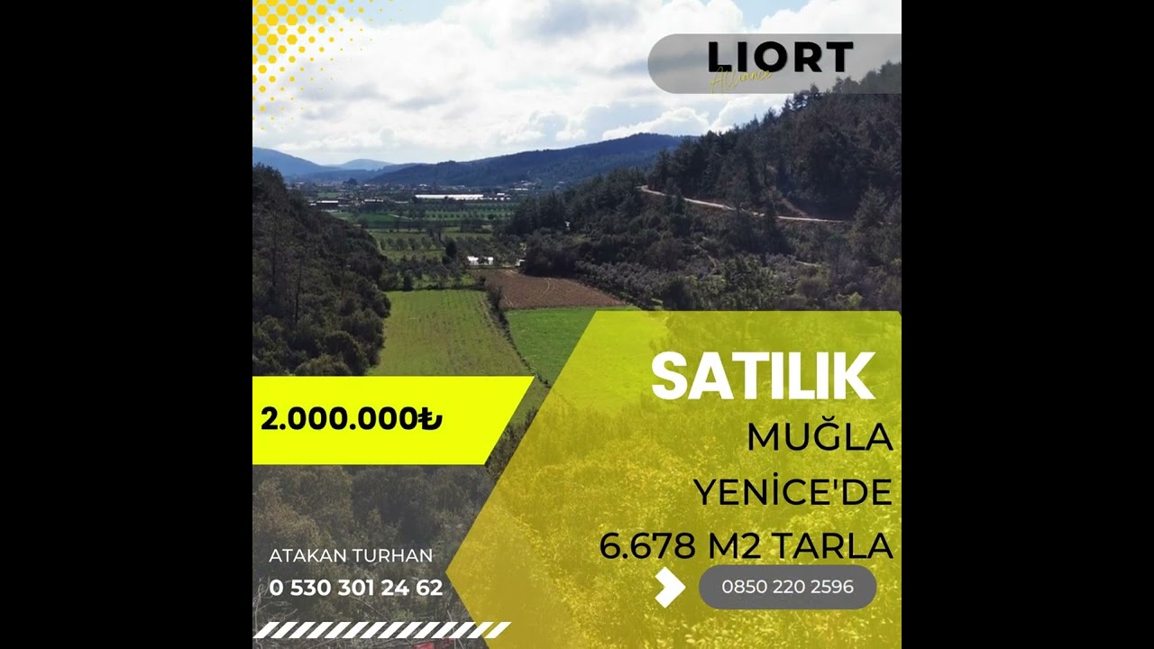MUĞLA YENİCE'DE SATILIK 6.678 M2 TARLA