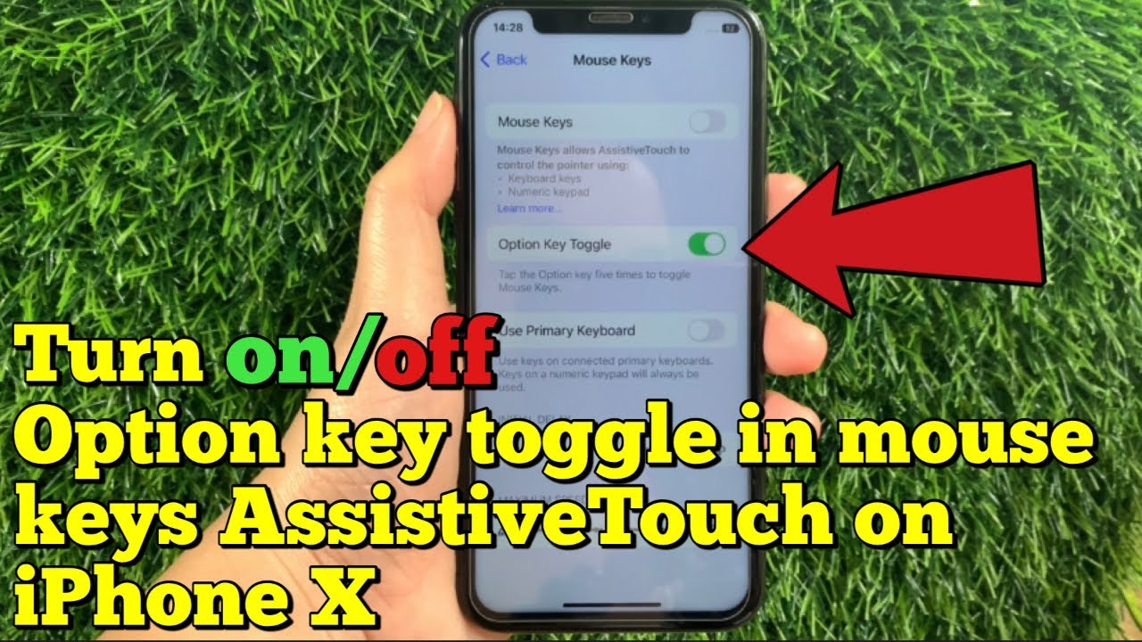 How to turn on or off option key toggle in mouse keys assistive touch on iPhone X