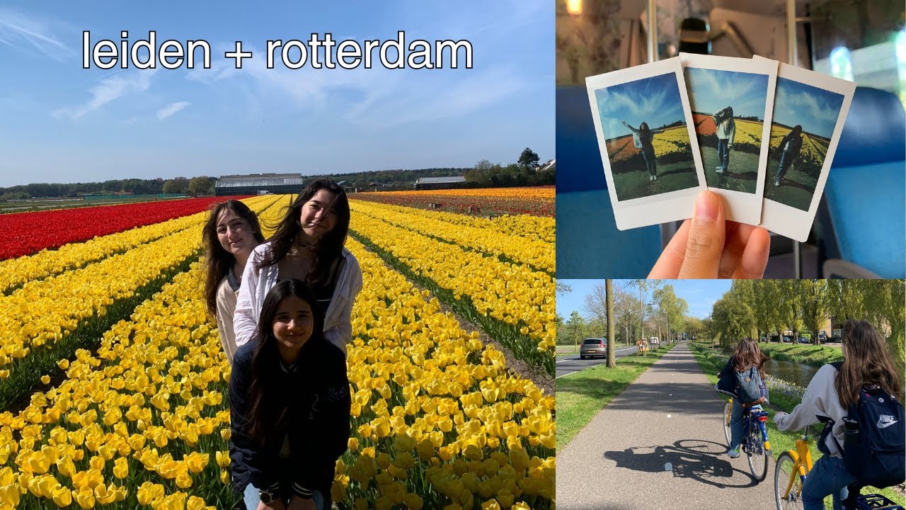 day in leiden and rotterdam