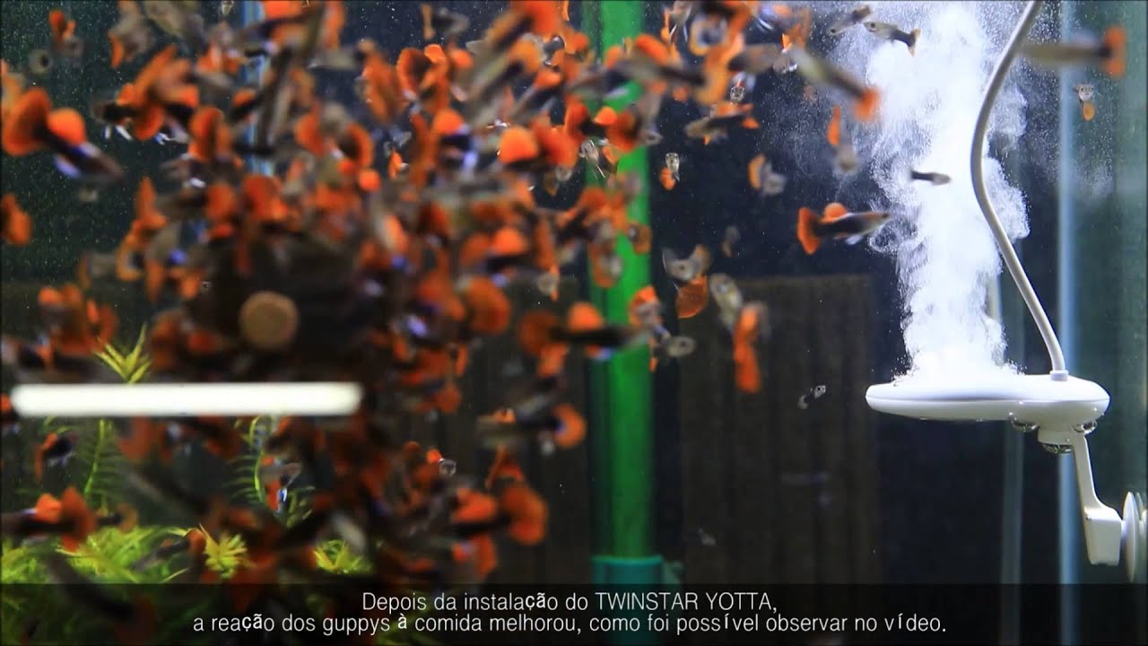 TWINSTAR Yotta - O melhor esterilizador de aqu&aacute;rio do mundo!