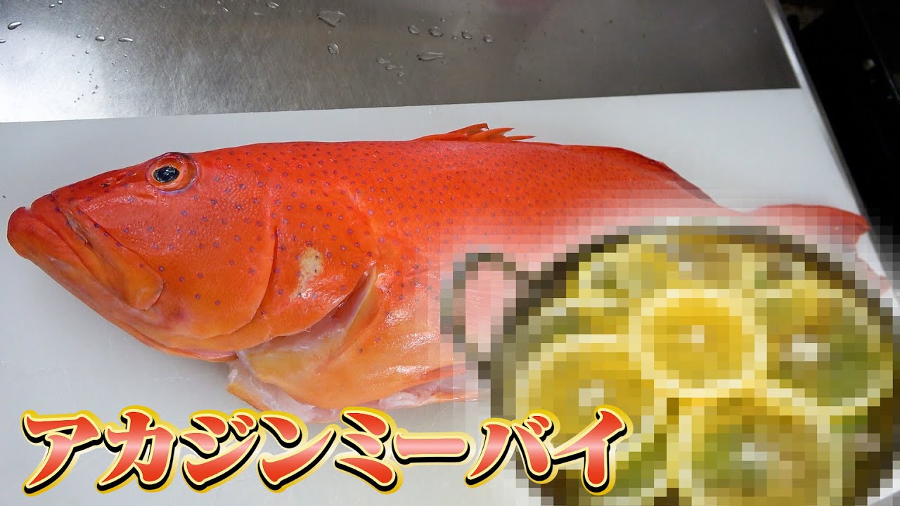 【沖縄三大高級魚】オレンジ色の魚で作るレモン鍋に爺ちゃん悶絶！？