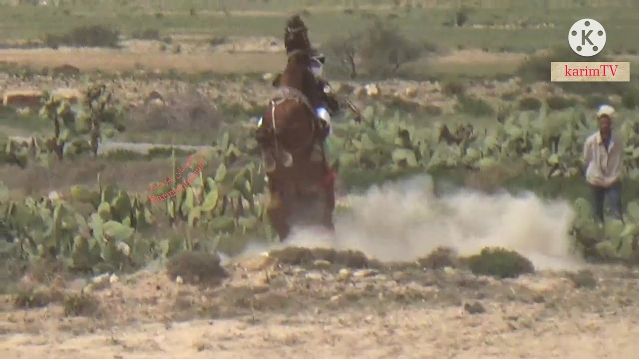 مهرجان سيدي فرج فرسان مرسط ايمن شتوح وقدور فارس فرسان تاورة ورقوبة وبريش وعين الصنب  وعين الزرقاء