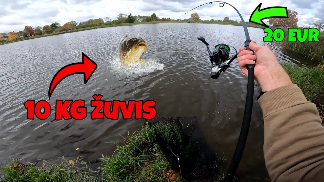 Traukiu Dideles žuvis su Pigiausia meškere