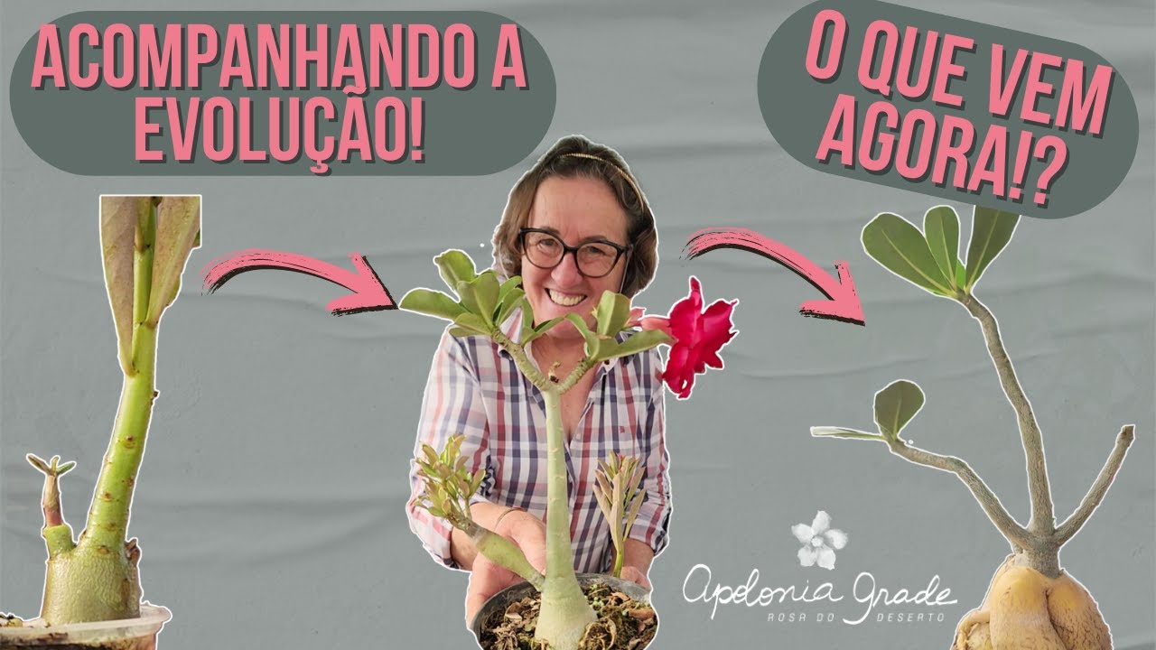 O PRIMEIRO ENXERTO DE 2024! VOCÊ CONHECE ESSA TÉCNICA!?