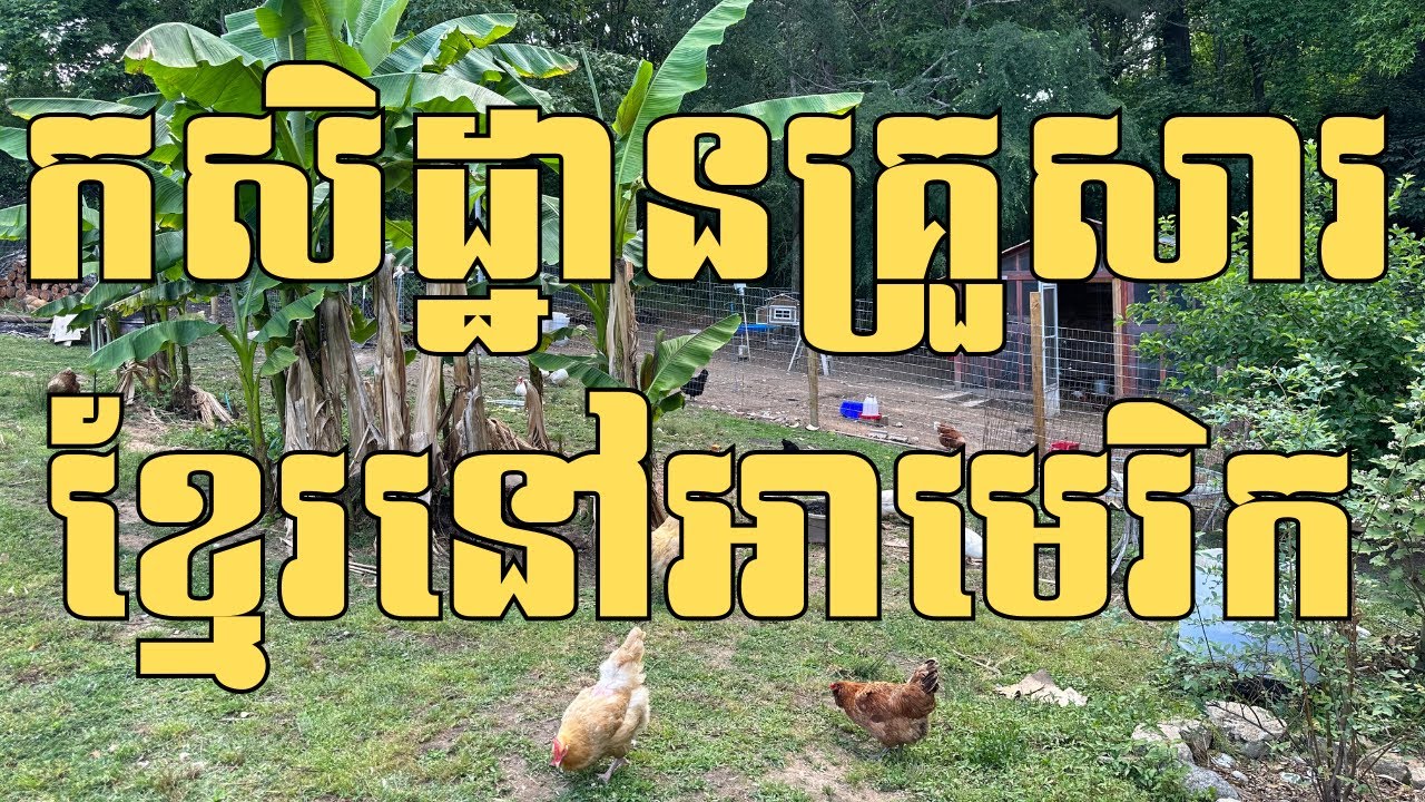 Episode 177: កសិដ្ឋានគ្រួសារខ្មែរនៅអាមេរិក និង ដំណាំឈើហូបផ្លែតាមរដូវកាលនៅអាមេរិក