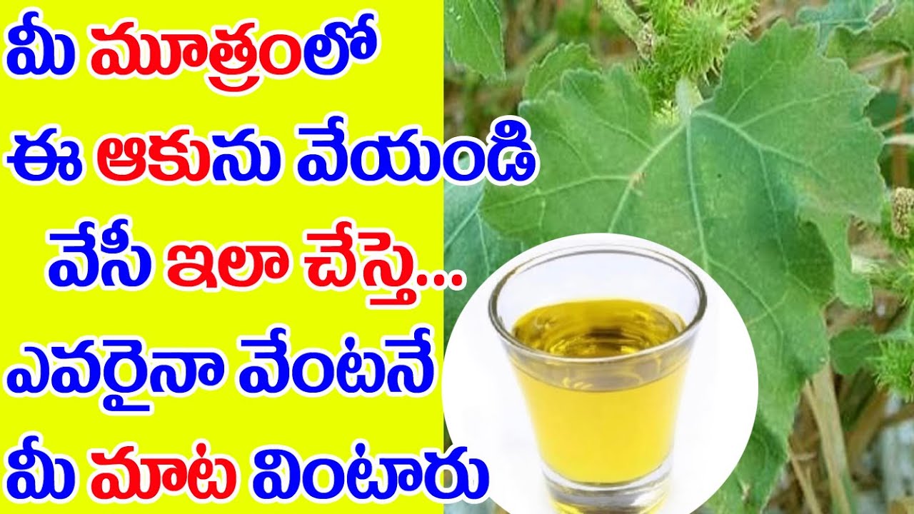 మరుగు మందు 1రోజులో ఎవరినైనా ఎలా ఆకర్షించుకోవాలి