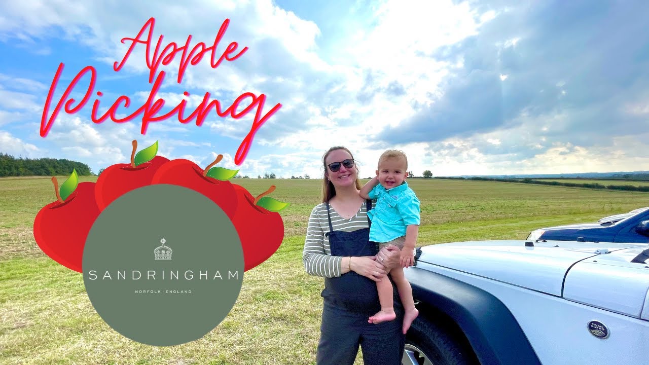 Apple Picking at Sandringham Orchard