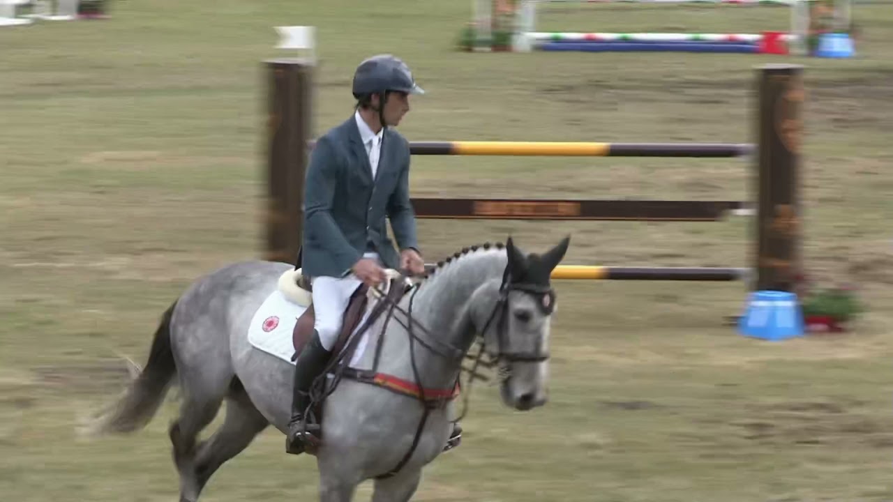 CCI4*-L de Saumur : Astier Nicolas & Babylon de Gamma
