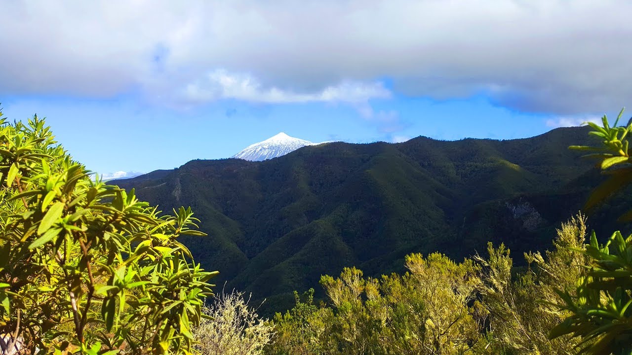 Sendero Erjos - Las Portelas ( Monte del Agua ), Tenerife