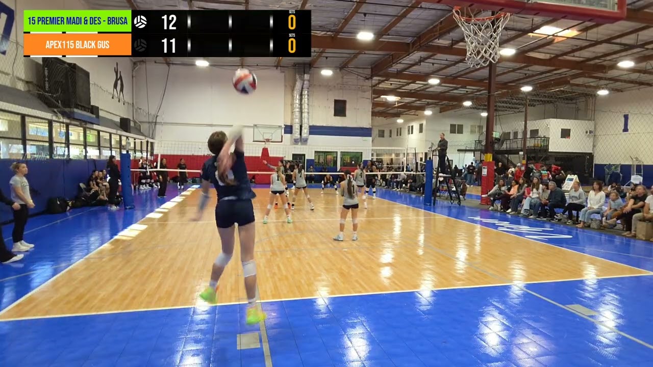 15 Madi/Des -  BRUSA vs  Apex1 15  Black.gus